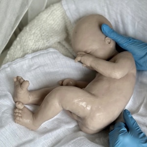 K&ouml;nnte beinhalten: Eine realistische Babypuppe mit heller Haut, die auf einem wei&szlig;en Tuch liegt. Die Puppe befindet sich in einer Embryonalhaltung, mit geschlossenen Augen und Armen in der N&auml;he des Gesichts. Eine behandschuhte Hand st&uuml;tzt den Kopf der Puppe. Die Puppe ist hellbeige.