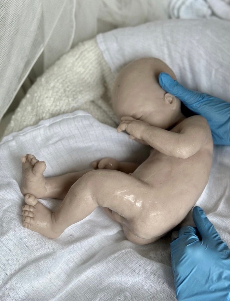 K&ouml;nnte beinhalten: Eine realistische Babypuppe mit heller Haut, die auf einem wei&szlig;en Tuch liegt. Die Puppe befindet sich in einer Embryonalhaltung, mit geschlossenen Augen und Armen in der N&auml;he des Gesichts. Eine behandschuhte Hand st&uuml;tzt den Kopf der Puppe. Die Puppe ist hellbeige.