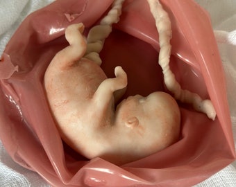 Silicone Realistic lifelike 7-14 Week Pregnancy Fetus Doll embryo, memorial baby, fetal development