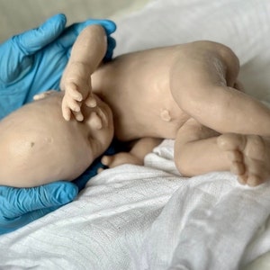 K&ouml;nnte beinhalten: Eine lebensechte, hellbraune Babypuppe liegt auf einem wei&szlig;en Tuch. Die Arme und Beine der Puppe sind leicht angewinkelt, und ihre winzigen F&uuml;&szlig;e sind sichtbar. Blau behandschuhte H&auml;nde wiegen sanft den Kopf der Puppe.