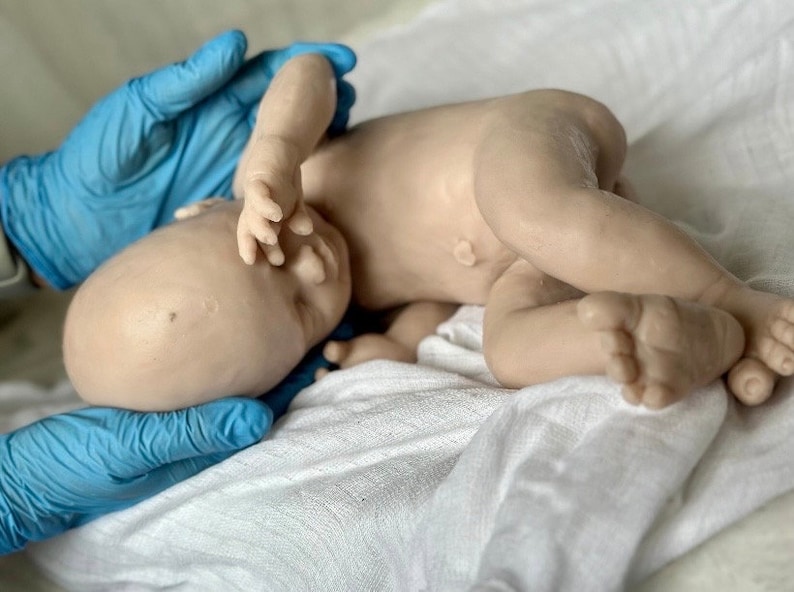 K&ouml;nnte beinhalten: Eine lebensechte, hellbraune Babypuppe liegt auf einem wei&szlig;en Tuch. Die Arme und Beine der Puppe sind leicht angewinkelt, und ihre winzigen F&uuml;&szlig;e sind sichtbar. Blau behandschuhte H&auml;nde wiegen sanft den Kopf der Puppe.