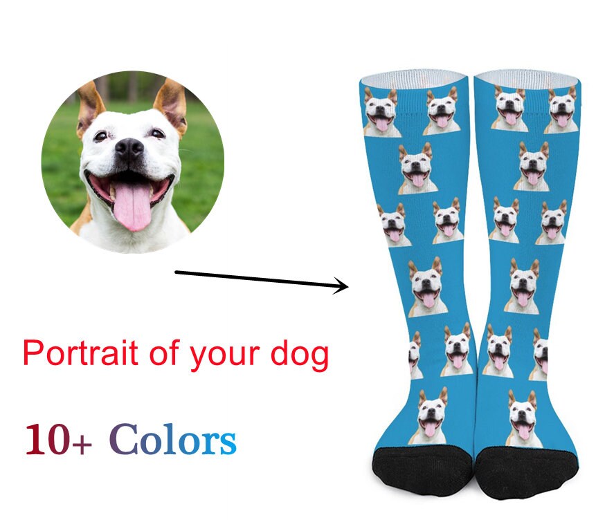 Can You Put Socks On A Dog