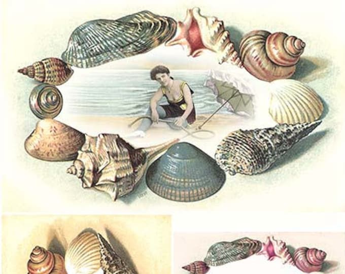 RICE Paper for Decoupage SHELL R0408 - Etsy