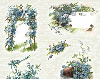 Decoupage Rice Paper Sheet Forget-me-not #R0357