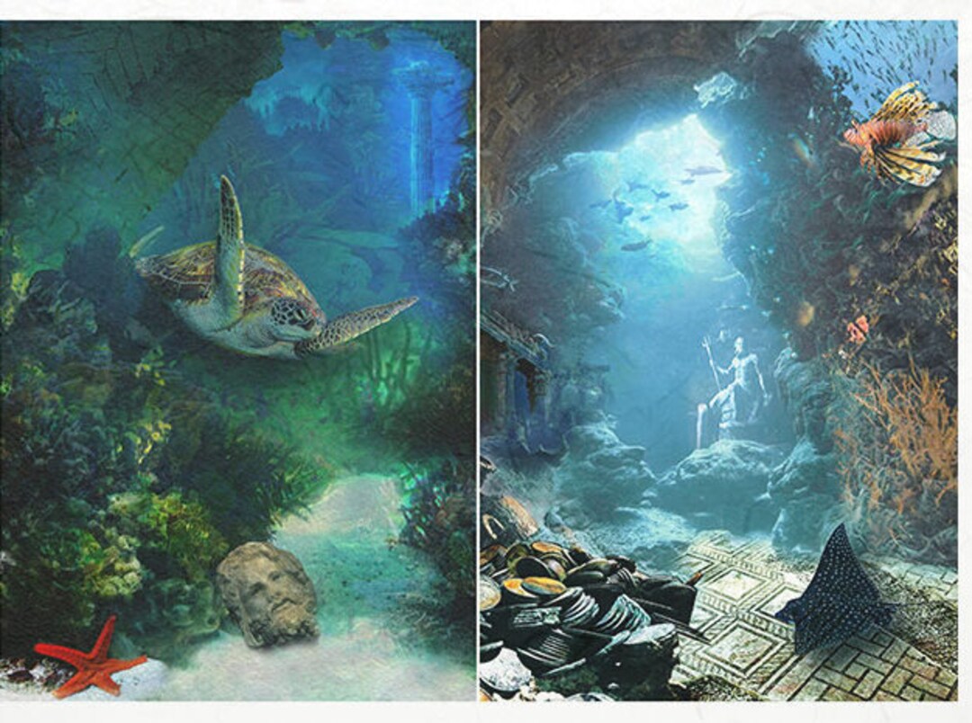 Rice Paper for Decoupage ATLANTIS choose the Size R2084R0924L Etsy