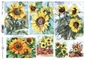 Decoupage RICE Paper Sunflowers #R1225 product logo