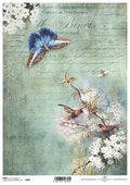 Rice Paper for Decoupage BIRDS #R0976 product logo