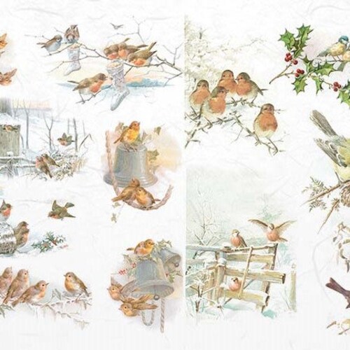 Rice Paper for BIRDS Decoupage Rice Paper R1021 Etsy