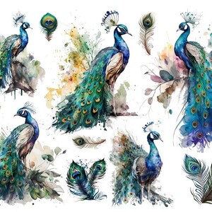 A sheet of rice Paper for Decoupage PEACOCK #SNR034