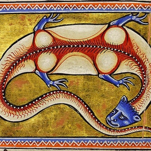 Aberdeen Bestiary: Siren Salamander. (12th Century Illuminated Medieval Manuscript). Fine Art Print/Poster