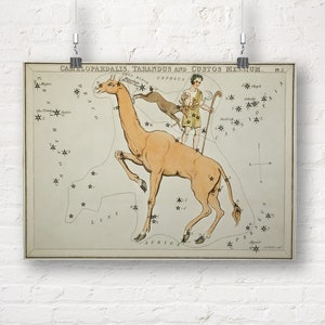 Constellations: Camelopardalis, Tarandus and the Custos Messium. Astronomical Chart Showing a Camel, Shepherd and Reindeer. Art Print/Poster