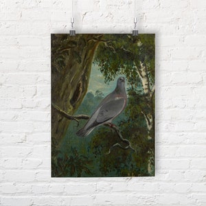 Bruno Liljefors: Stock Dove (1879). Fine Art Print/Poster
