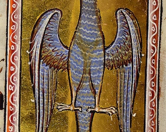 Aberdeen Bestiary: A Hawk. (12th Century Illuminated Medieval Manuscript). Fine Art Print/Poster