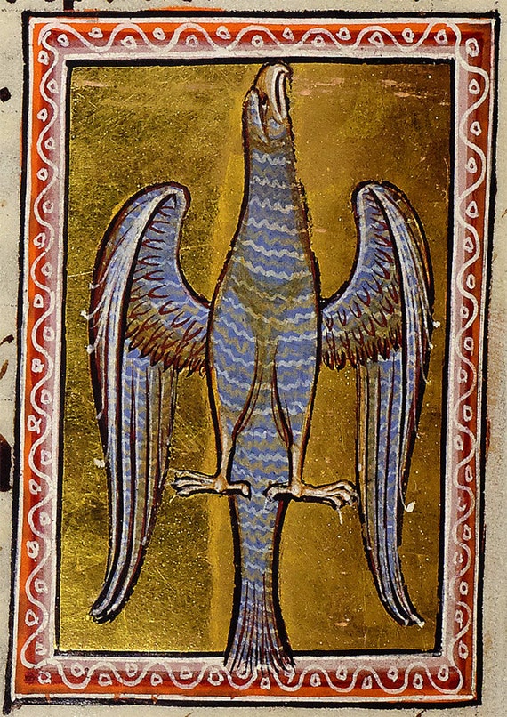 Fine Art Print//Poster 12th Century Manuscript Aberdeen Bestiary: A Hawk.