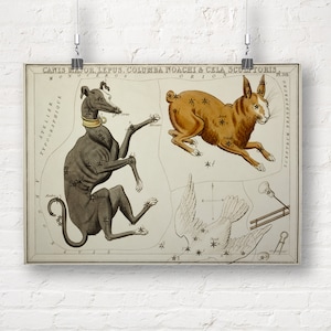 Constellations: Canis Major, Lepus, Columba Noachi and the Cela Sculptoris. Fine Art Print/Poster