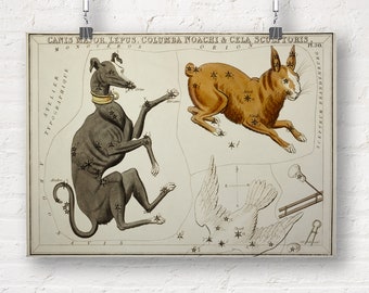 Constellations: Canis Major, Lepus, Columba Noachi and the Cela Sculptoris. Fine Art Print/Poster