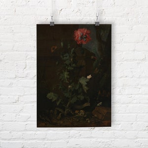 Still Life with Poppy, Insects, and Reptiles by Otto Marseus van Schrieck. Fine Art Print/Poster