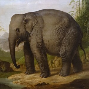 Christian Wilhelm Kehrer: Elefante Asiático. Impressão / pôster de belas artes