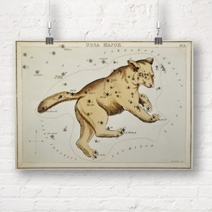 Constellation: Ursa Major. Great Bear. Fine Art Print/Poster