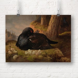 Ferdinand von Wright: Black Grouse (1864). Fine Art Print/Poster.