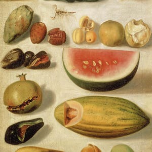 Hermenegildo Bustos: Still Life with Fruit (with Scorpion and Frog). Fine Art Print/Poster. (004207)