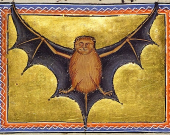 Aberdeen Bestiary: Bat. (12th Century Illuminated Medieval Manuscript). Fine Art Print/Poster