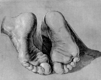 Albrecht Durer: Feet of an Apostle. Fine Art Print/Poster (001220)