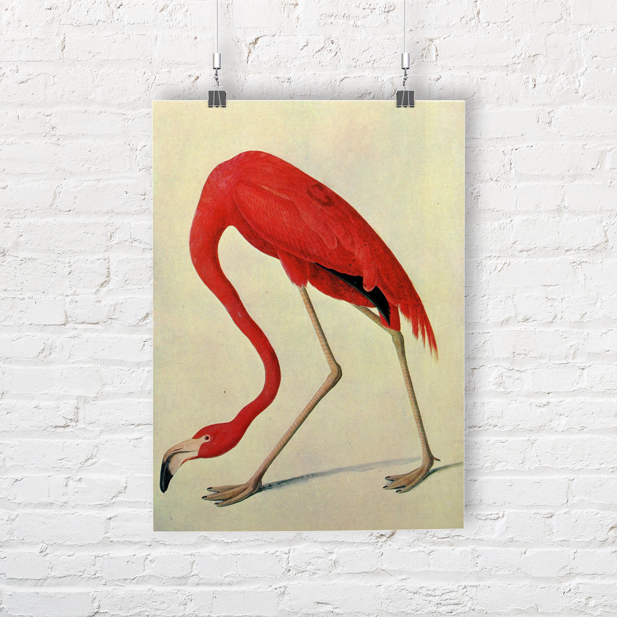 Flamingo Vans Etsy UK