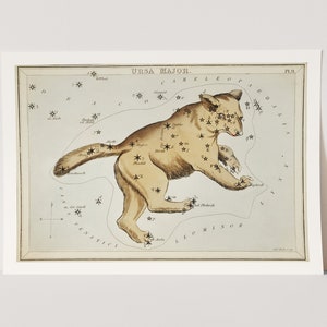 Premium Giclée Print of The Ursa Major. Astrology Print.