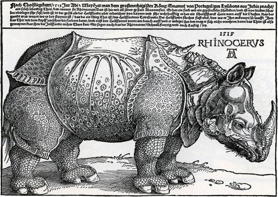Albrecht Durer: Rhinoceros. Fine Art Print/poster 00160 - Etsy
