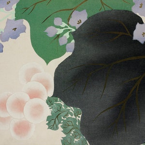 Flowers and Leaves from Momoyogusa–Flowers of a Hundred Generations (1909) by Kamisaka Sekka. Fine Art Print/Poster