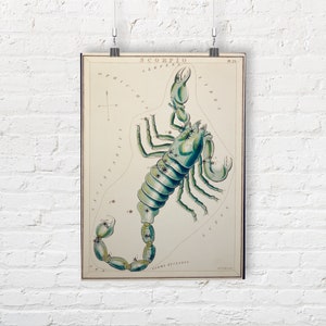 Constellation of the Zodiac: Scorpio. Fine Art Print/Poster