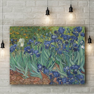 Canvas Art Print of Van Gogh: Irises. Large Size (30 x 20 Inches)