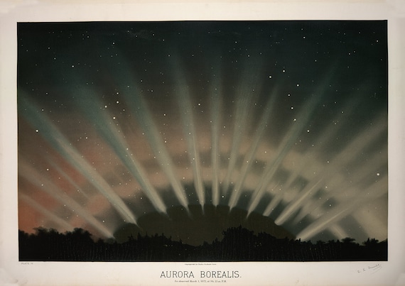 The November Meteors Etienne Leopold Trouvelot Fine Art Print//Poster