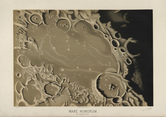 The November Meteors Etienne Leopold Trouvelot Fine Art Print//Poster