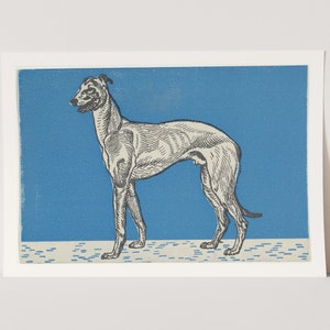 Premium Giclée Print of a Greyhound. Modern Dog Print.