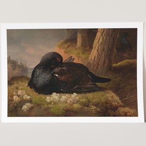 Premium Giclée Print of Ferdinand von Wright: Black Grouse (1864). Museum Quality Print of Famous Painting