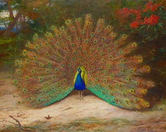 Archibold Thornburg: Peacock and Peacock Butterfly. Fine Art Print/Poster