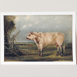 Premium Giclée Print of John Woodhouse Audubon: A Young Bull. Museum Quality Print of Famous Painting