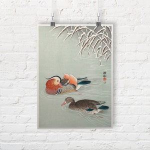 Ohara Koson : Canards mandarins. Impression/Affiche des beaux-arts