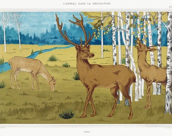 Cerfs from L'animal dans la décoration (1897) illustrated by Maurice Pillard Verneuil. Fine Art Print/Poster