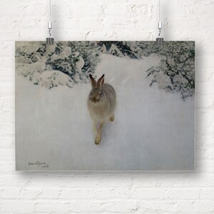 Bruno Liljefors: Hare in Winter (1905). Fine Art Print/Poster