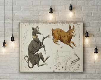 Premium Canvas Art Print of Constellations: Canis Major, Lepus, Columba Noachi and the Cela Sculptoris