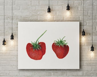 Premium Canvas Art Print z ilustracją Vintage Truskawka