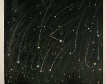 Etienne Leopold Trouvelot: The November Meteors. (The Trouvelot Astronomical Drawings 1882) Astronomy/Space Print/Poster (0013)