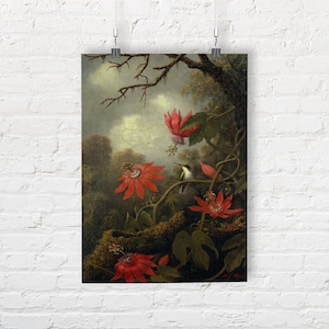 Colibrì e Passionflowers di Martin Johnson Heade. Stampa/Poster di Belle Arti