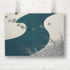 Kamisaka Sekka: Birds. Fine Art Print/Poster