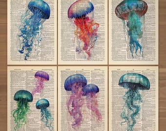 Jellyfish Print Set of 6 Jelly Fish Poster Jellyfish Bathroom Wall Decor Vintage Jellyfish Art Print Ocean Wall Art Nautical Wall Decor  838