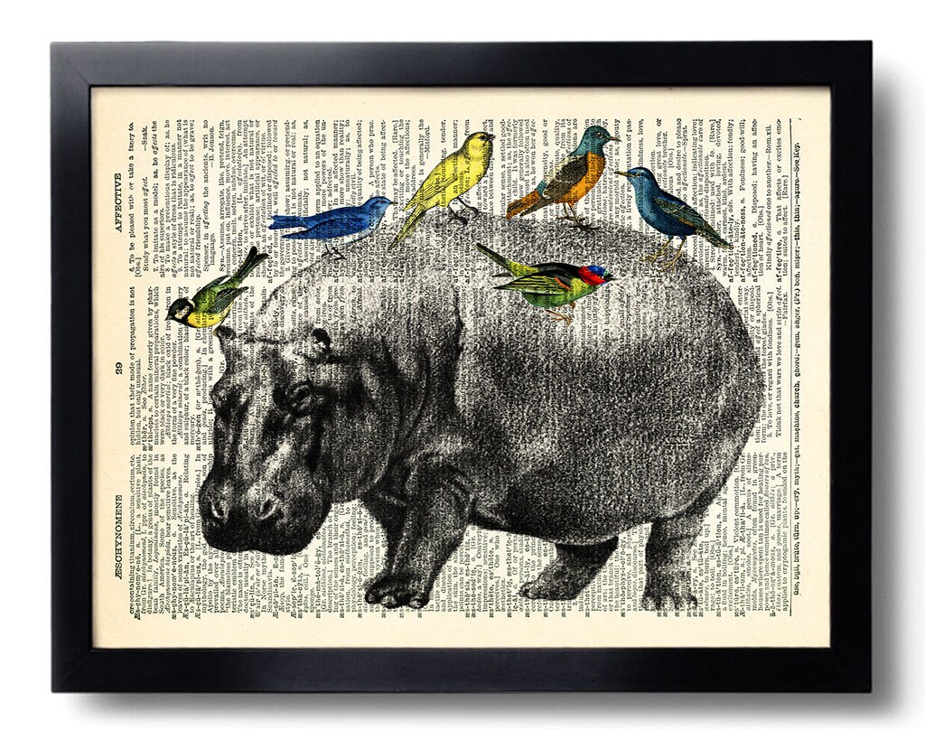 Hippo Bird Birds Vintage Dictionary Art Print Hippo Artwork Etsy