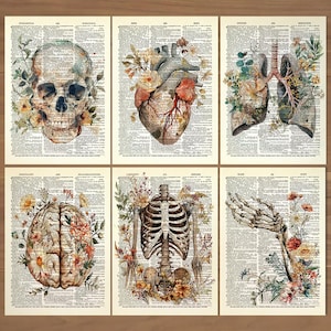 Anatomy Print Set 6 Medical Wall Art Anatomical Poster Home Decor Gifts Anatomical Gift Set of Posters Vintage Human Anatomy Skull Art 0728